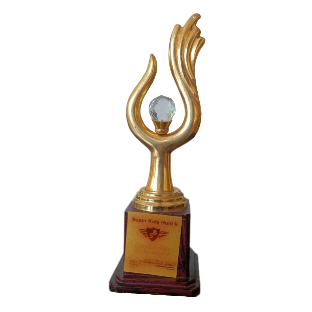 Award 5